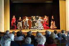 flamenco-show-3-800x533px.jpg